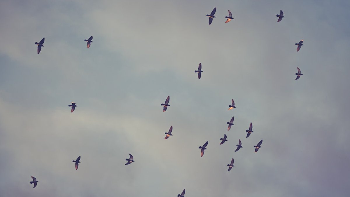 Migrate from VPN to Zero Trust in 6 months: pragmatic roadmap